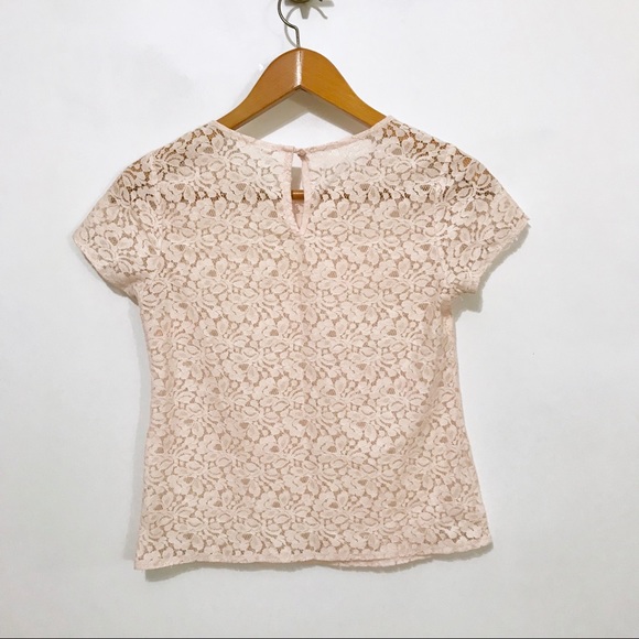 Pale Pink Sheer Lace Cap Sleeve Blouse - Picture 5 of 6